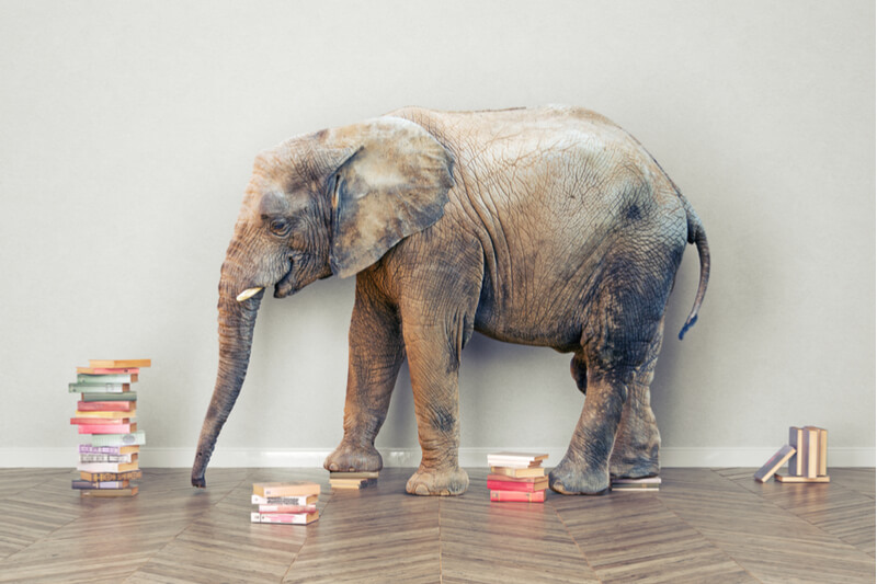 It's High Time to Finally Talk About the Big Elephant in U.S. Classrooms