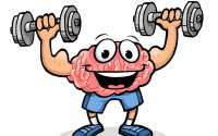 Brain workouts: Fact or Fad?