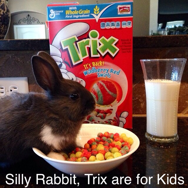 Silly Rabbit, Tricks are for Kids