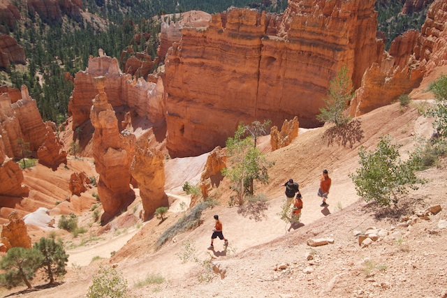 What is the Difference Between Wilderness Therapy and Regular Therapy What is the Difference Between Wilderness Therapy and Regular Therapy