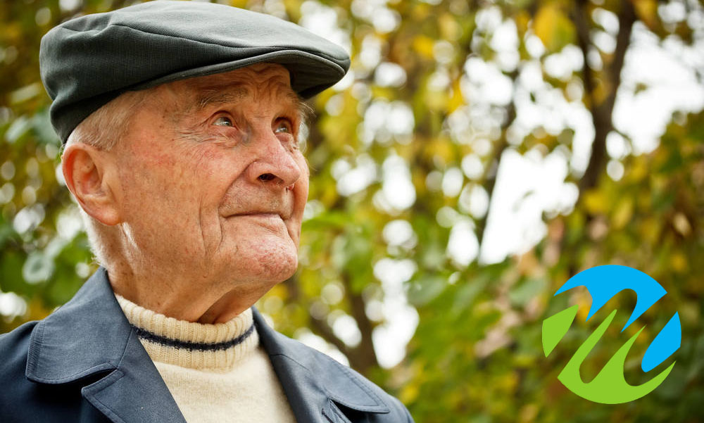 We Are Not Curing Alzheimers We Are Not Curing Alzheimers
