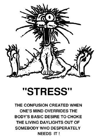 Kids Suffer From Secondhand Smoke. But How About Secondhand Stress?