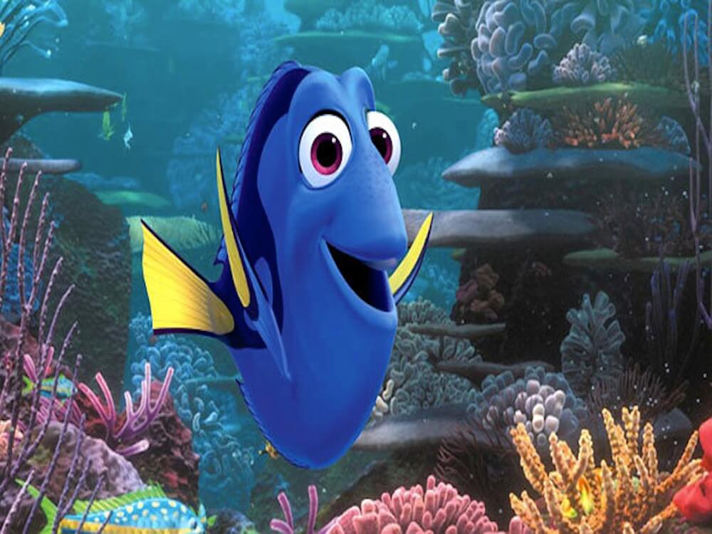 Dory