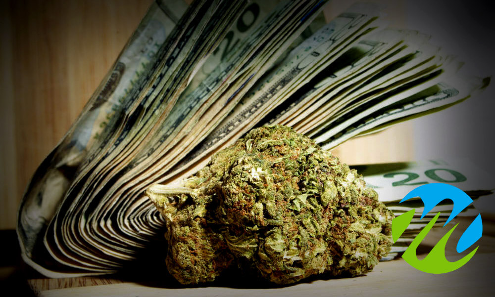 Pot Is Just Too Easy To Get These Days Pot Is Just Too Easy To Get These Days