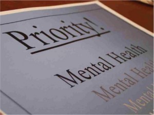The State of the Mental Health System in America The State of the Mental Health System in America
