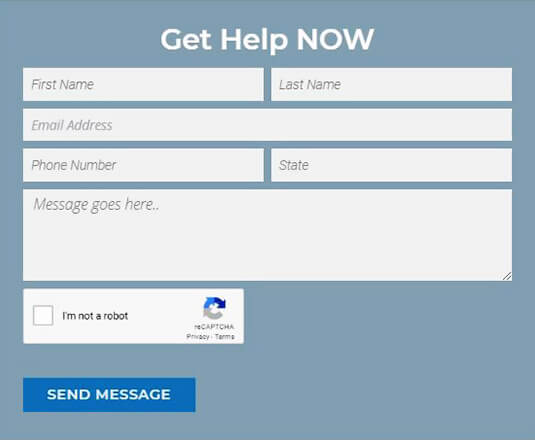 form screen shot