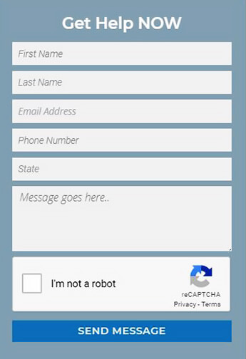 form screen shot