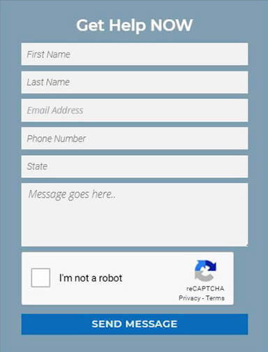 form screen shot