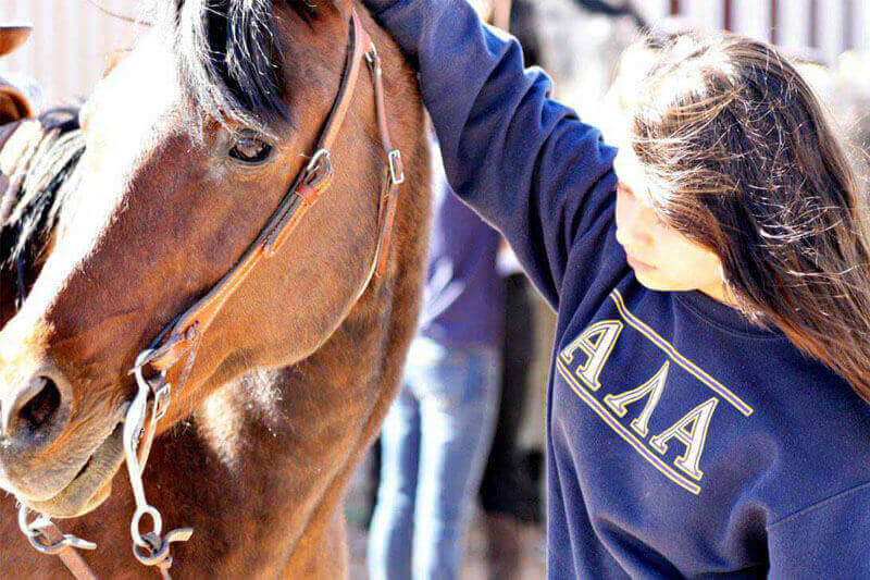 Therapy Animals Help Troubled Teens