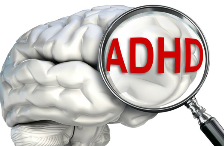 Learn About "Gut Health" and "Healthy Brain Function" in Children with ADHD and ASD