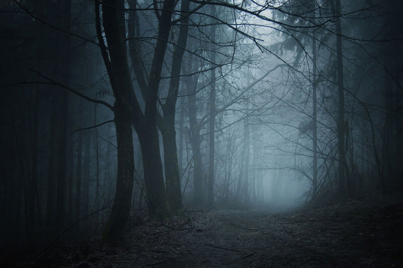 What Does Our Persistent Obsession With Bigfoot Say About Us? What Does Our Persistent Obsession With Bigfoot Say About Us?