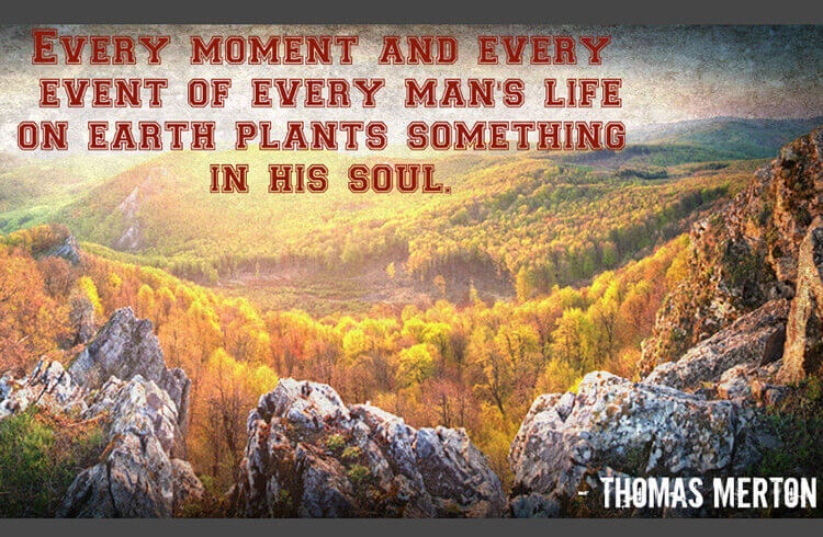 Plant Something in Your Soul