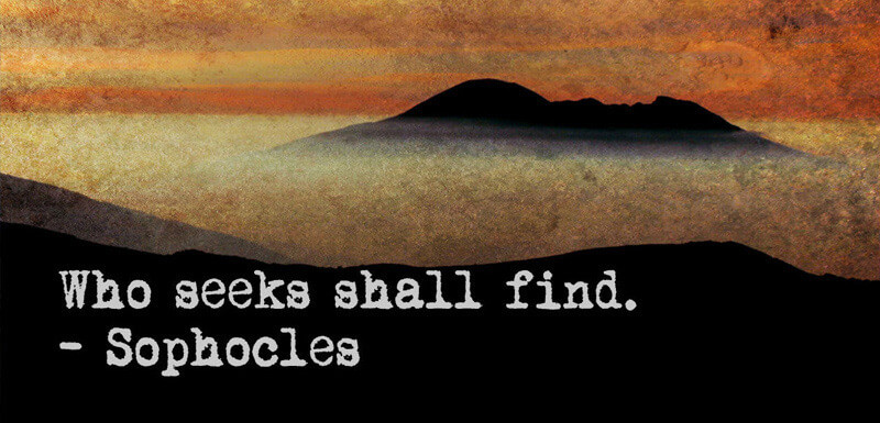 Who Seeks Shall Find