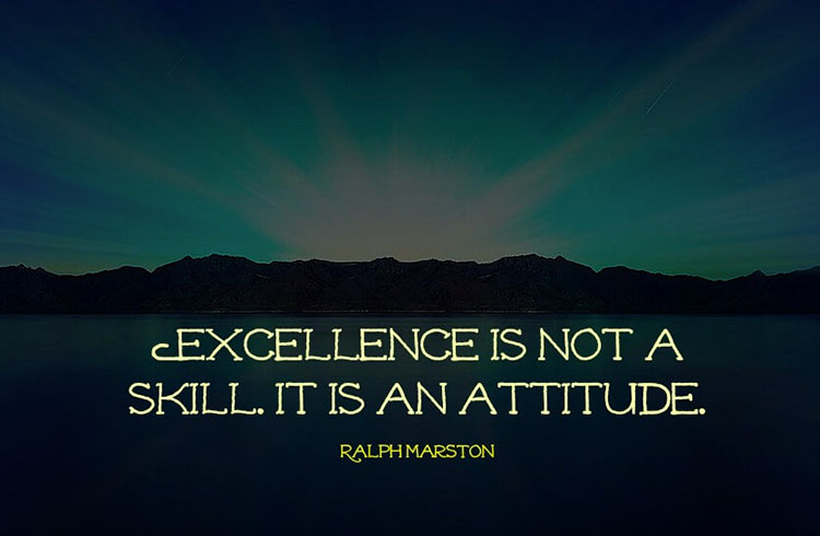 Excellence Is Not A Skill