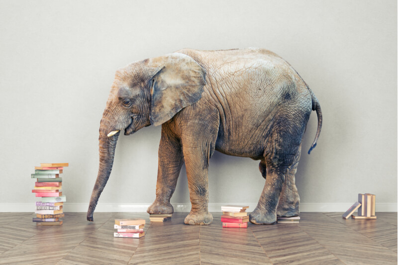 It's High Time to Finally Talk About the Big Elephant in U.S. Classrooms It's High Time to Finally Talk About the Big Elephant in U.S. Classrooms