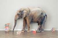 It's High Time to Finally Talk About the Big Elephant in U.S. Classrooms